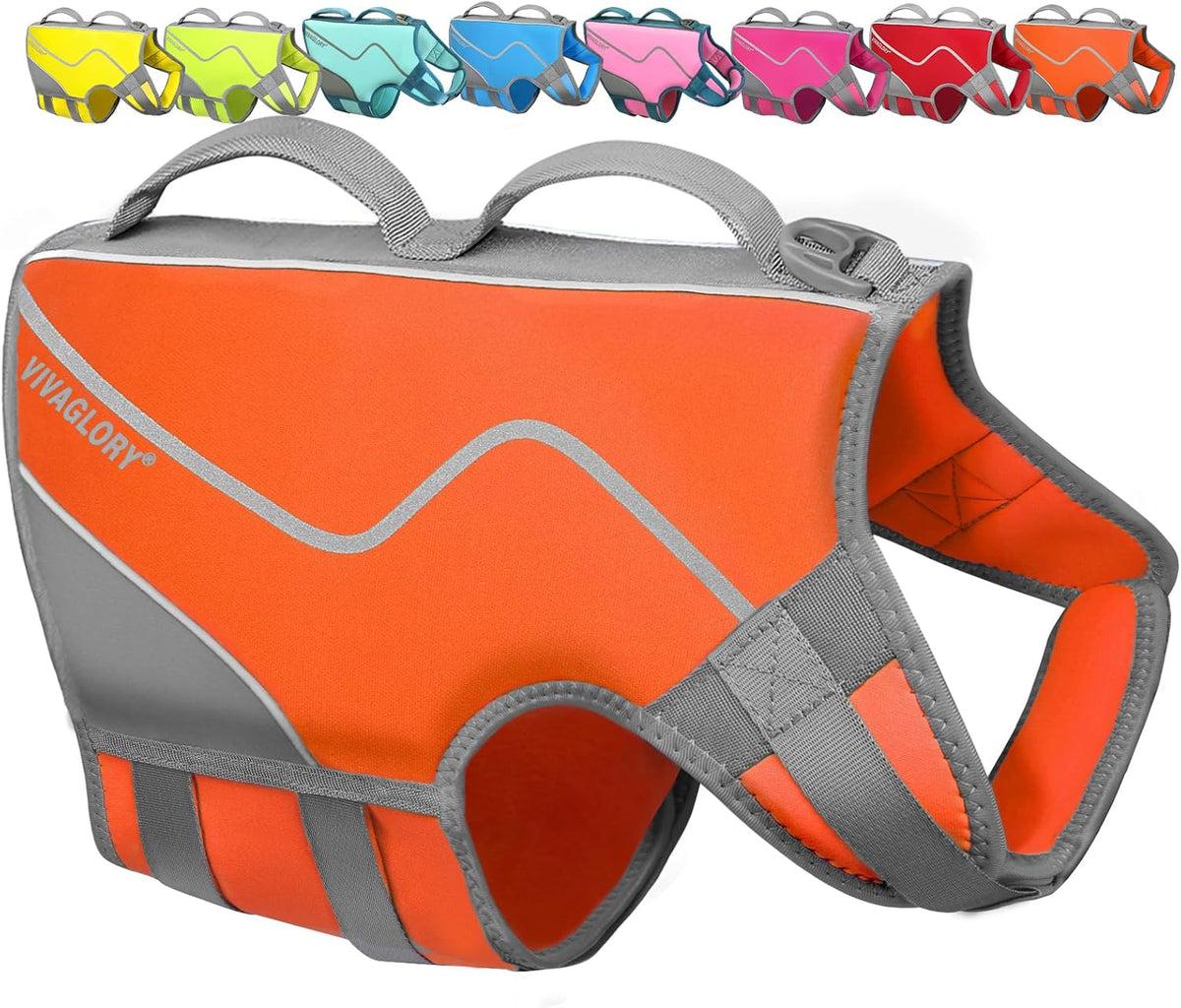 Dog Life Vest Neoprene Dog Swim Vest, XL, Cyra Blue