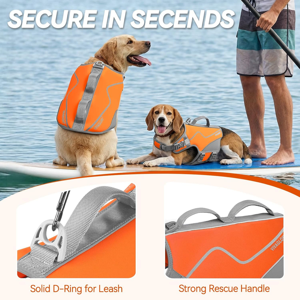 Dog Life Vest Neoprene Dog Swim Vest, XL, Cyra Blue