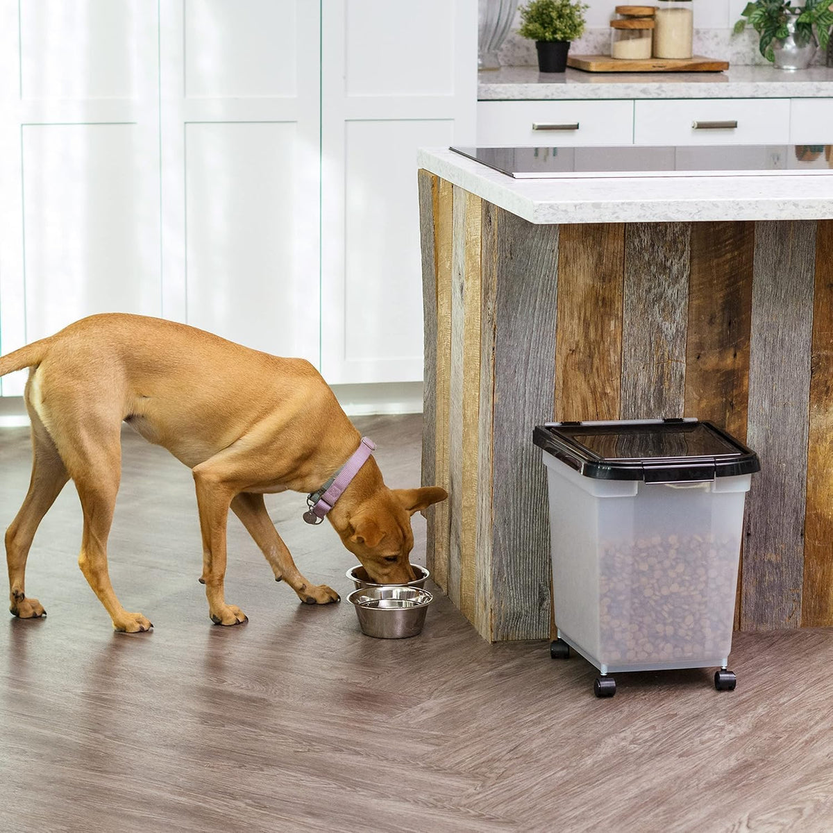 Dog Food Storage Container, Up to 50 lbs, Dark Gray, Made in USA