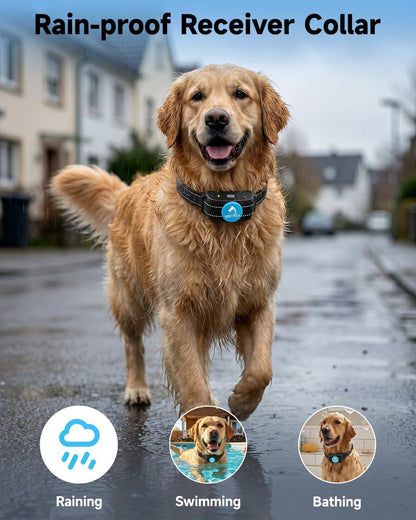 Dog Training Collar Shock Collar with Remote - 3 Training Modes, Beep, Vibration and Shock, Up to 1000 ft Remote Range, Rainproof for Small Medium Large Dogs