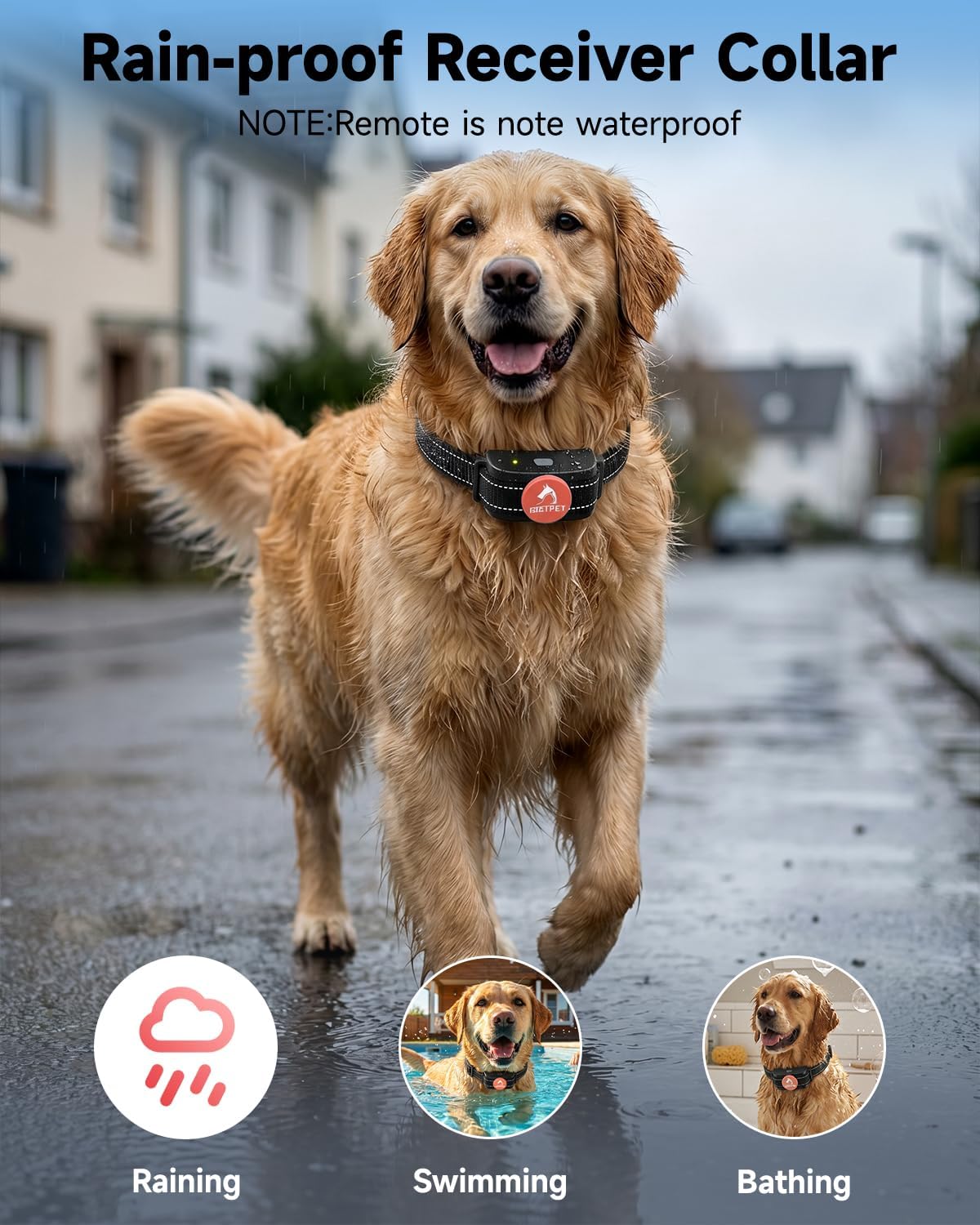 Dog Training Collar Shock Collar with Remote - 3 Training Modes, Beep, Vibration and Shock, Up to 1000 ft Remote Range, Rainproof for Small Medium Large Dogs