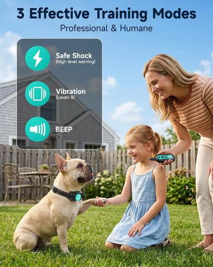 Dog Training Collar Shock Collar with Remote - 3 Training Modes, Beep, Vibration and Shock, Up to 1000 ft Remote Range, Rainproof for Small Medium Large Dogs