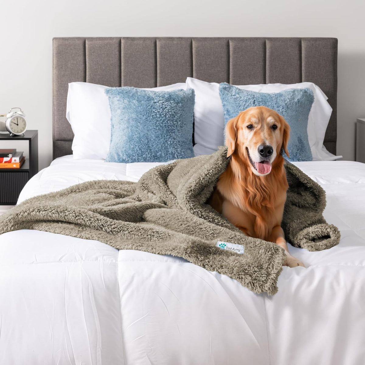 Fluffy Sherpa Waterproof Dog Blanket for Small Pet Cat, 24x32 Blue | Soft & Warm & Washable; Leafproof Couch Sofa Protector for Small Medium Large Pet; Pee Proof Cover for Crate Kennel Car Seat