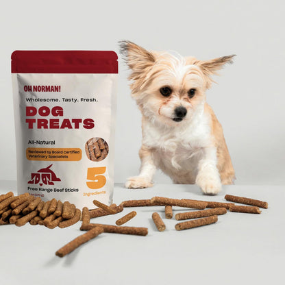 ! Soft Beef Jerky Dog Treats, Free-Range Beef, 6 oz