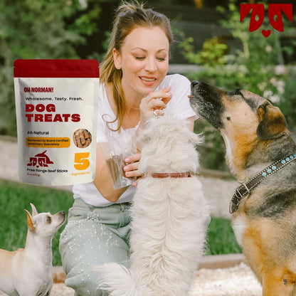 ! Soft Beef Jerky Dog Treats, Free-Range Beef, 6 oz