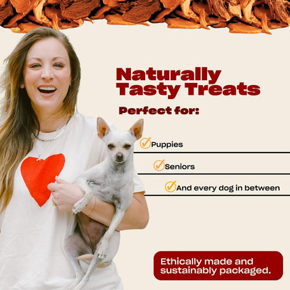 ! Soft Beef Jerky Dog Treats, Free-Range Beef, 6 oz