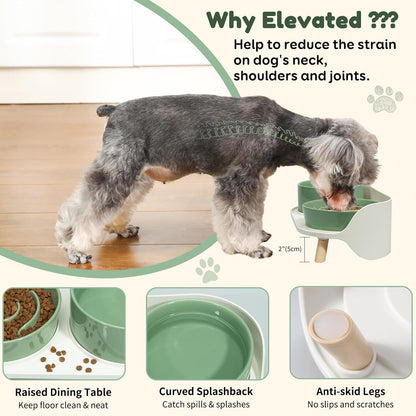 Elevated Slow Feeder Dog Bowls with Splash Proof Stand, Slow Eating 5X | 6.5″ Dog Slow Feeding Bowls & 6.1″ Dog Food Dish, Non-Slip Raised Food and Water Bowl Set for Small and Medium Breeds, White