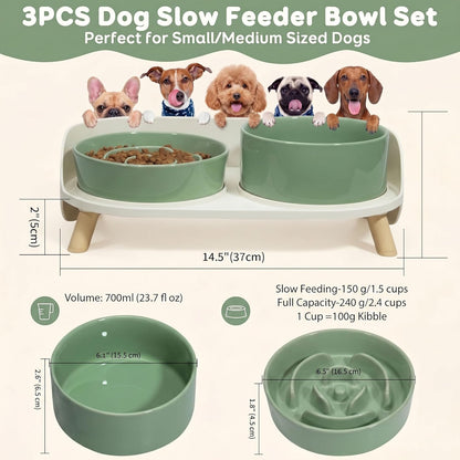 Elevated Slow Feeder Dog Bowls with Splash Proof Stand, Slow Eating 5X | 6.5″ Dog Slow Feeding Bowls & 6.1″ Dog Food Dish, Non-Slip Raised Food and Water Bowl Set for Small and Medium Breeds, White