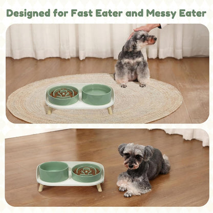 Elevated Slow Feeder Dog Bowls with Splash Proof Stand, Slow Eating 5X | 6.5″ Dog Slow Feeding Bowls & 6.1″ Dog Food Dish, Non-Slip Raised Food and Water Bowl Set for Small and Medium Breeds, White