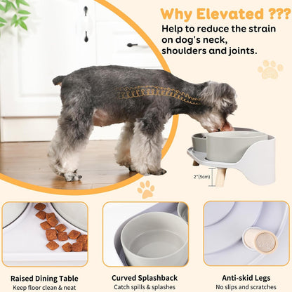 Elevated Slow Feeder Dog Bowls with Splash Proof Stand, Slow Eating 5X | 6.5″ Dog Slow Feeding Bowls & 6.1″ Dog Food Dish, Non-Slip Raised Food and Water Bowl Set for Small and Medium Breeds, White