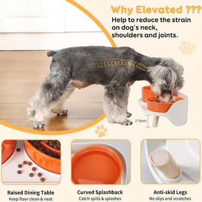 Elevated Slow Feeder Dog Bowls with Splash Proof Stand, Slow Eating 5X | 6.5″ Dog Slow Feeding Bowls & 6.1″ Dog Food Dish, Non-Slip Raised Food and Water Bowl Set for Small and Medium Breeds, White