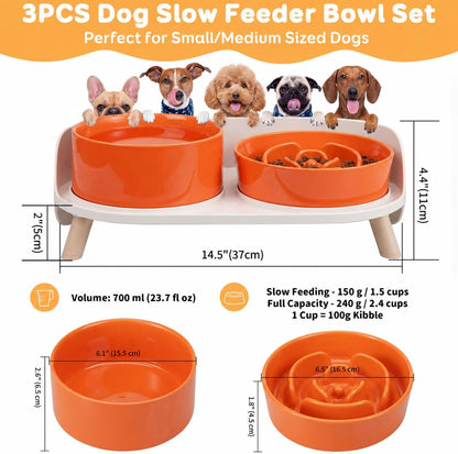 Elevated Slow Feeder Dog Bowls with Splash Proof Stand, Slow Eating 5X | 6.5″ Dog Slow Feeding Bowls & 6.1″ Dog Food Dish, Non-Slip Raised Food and Water Bowl Set for Small and Medium Breeds, White