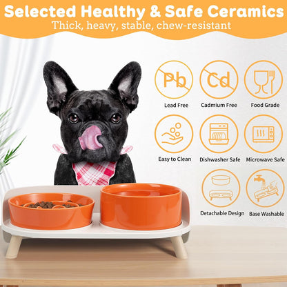 Elevated Slow Feeder Dog Bowls with Splash Proof Stand, Slow Eating 5X | 6.5″ Dog Slow Feeding Bowls & 6.1″ Dog Food Dish, Non-Slip Raised Food and Water Bowl Set for Small and Medium Breeds, White