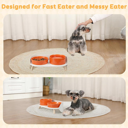 Elevated Slow Feeder Dog Bowls with Splash Proof Stand, Slow Eating 5X | 6.5″ Dog Slow Feeding Bowls & 6.1″ Dog Food Dish, Non-Slip Raised Food and Water Bowl Set for Small and Medium Breeds, White