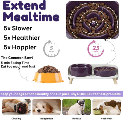 Elevated Slow Feeder Dog Bowls with Splash Proof Stand, Slow Eating 5X | 6.5″ Dog Slow Feeding Bowls & 6.1″ Dog Food Dish, Non-Slip Raised Food and Water Bowl Set for Small and Medium Breeds, White