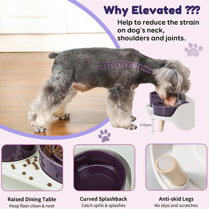 Elevated Slow Feeder Dog Bowls with Splash Proof Stand, Slow Eating 5X | 6.5″ Dog Slow Feeding Bowls & 6.1″ Dog Food Dish, Non-Slip Raised Food and Water Bowl Set for Small and Medium Breeds, White