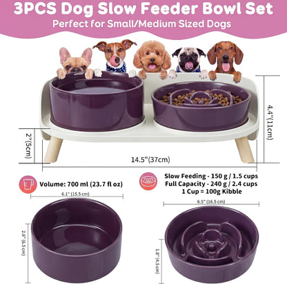 Elevated Slow Feeder Dog Bowls with Splash Proof Stand, Slow Eating 5X | 6.5″ Dog Slow Feeding Bowls & 6.1″ Dog Food Dish, Non-Slip Raised Food and Water Bowl Set for Small and Medium Breeds, White