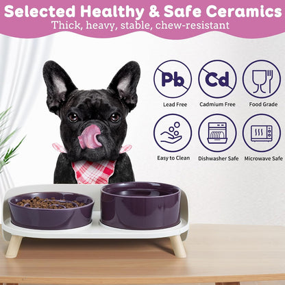 Elevated Slow Feeder Dog Bowls with Splash Proof Stand, Slow Eating 5X | 6.5″ Dog Slow Feeding Bowls & 6.1″ Dog Food Dish, Non-Slip Raised Food and Water Bowl Set for Small and Medium Breeds, White