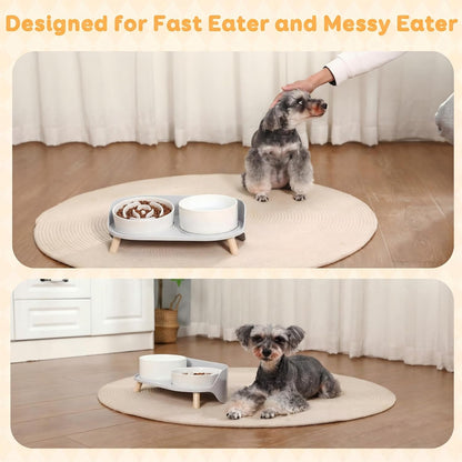 Elevated Slow Feeder Dog Bowls with Splash Proof Stand, Slow Eating 5X | 6.5″ Dog Slow Feeding Bowls & 6.1″ Dog Food Dish, Non-Slip Raised Food and Water Bowl Set for Small and Medium Breeds, White