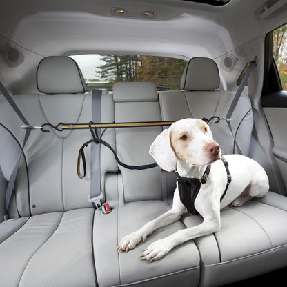 Auto Zip Line, Backseat Zipline Harness Tether for Car Travel