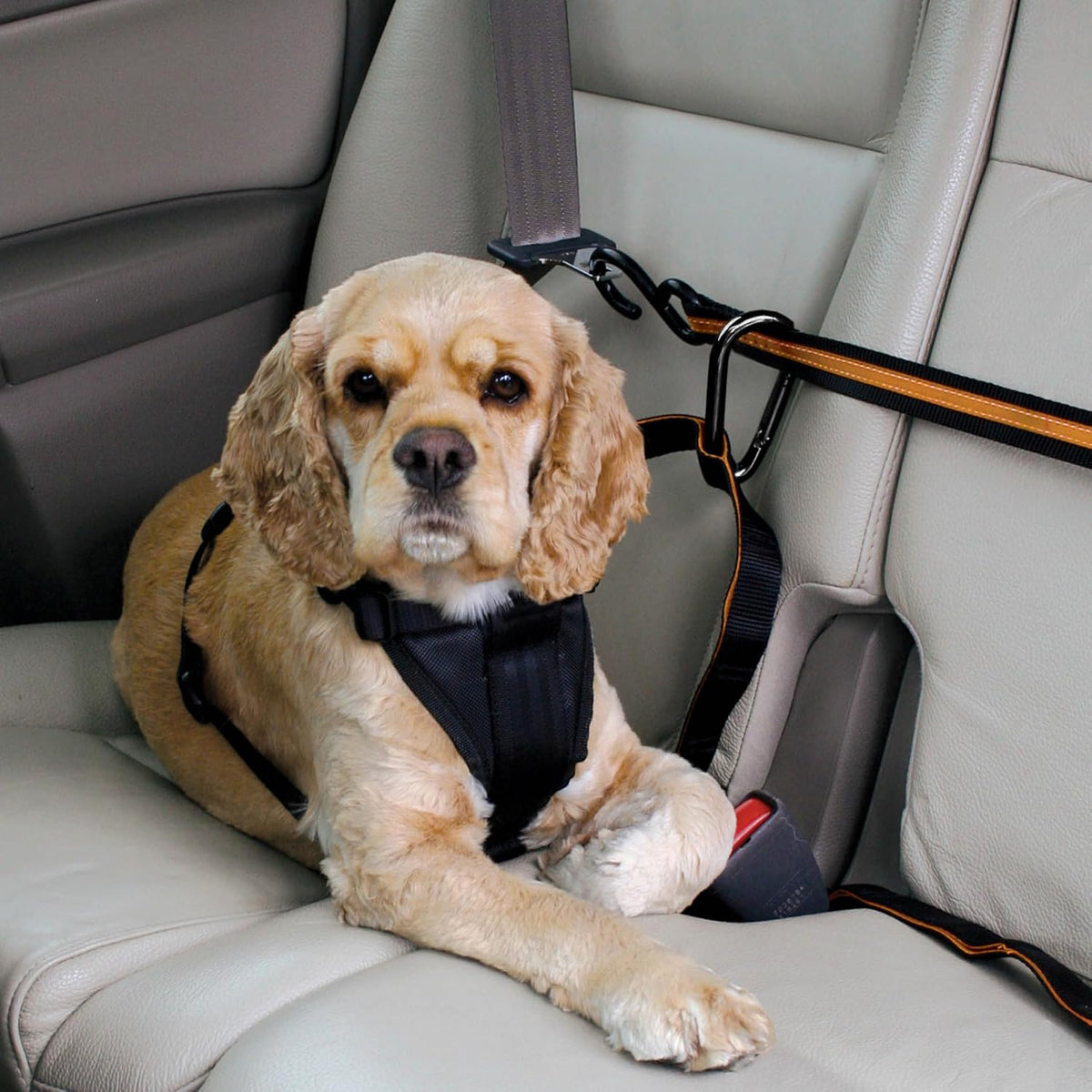 Auto Zip Line, Backseat Zipline Harness Tether for Car Travel