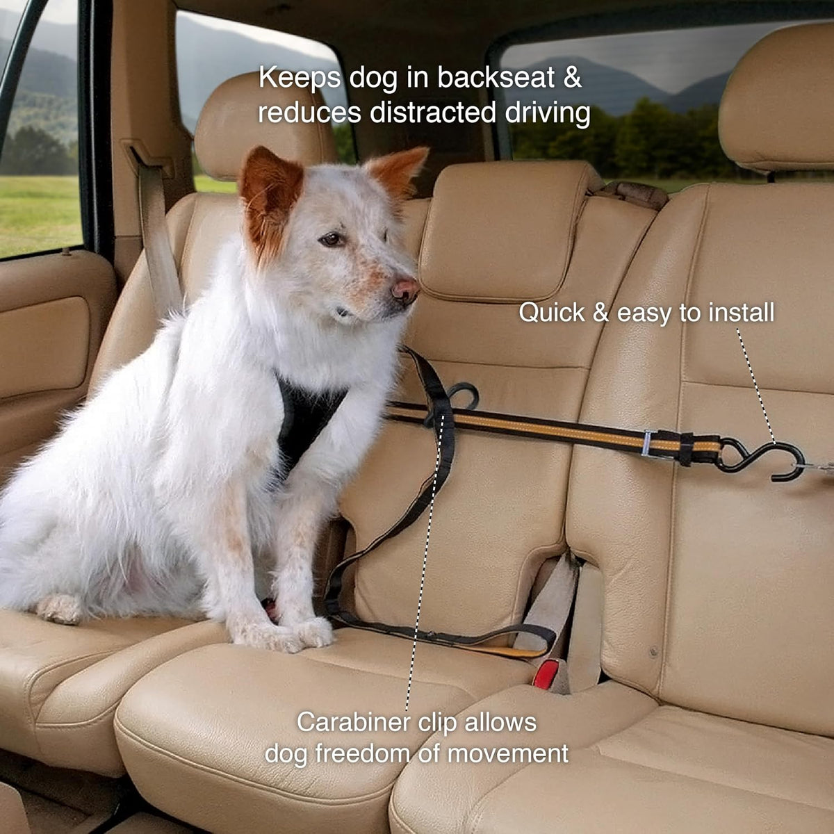 Auto Zip Line, Backseat Zipline Harness Tether for Car Travel