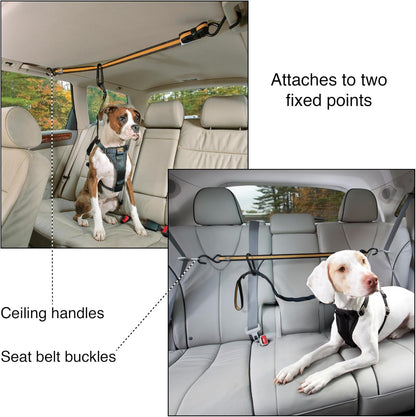 Auto Zip Line, Backseat Zipline Harness Tether for Car Travel