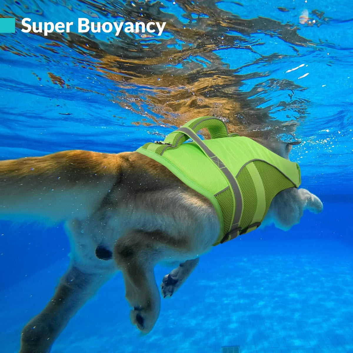 Adjustable Ripstop Dog Life Vest for Swimming & Boating, Lifesaver with Superior Buoyancy & Rescue Handle, Green, M