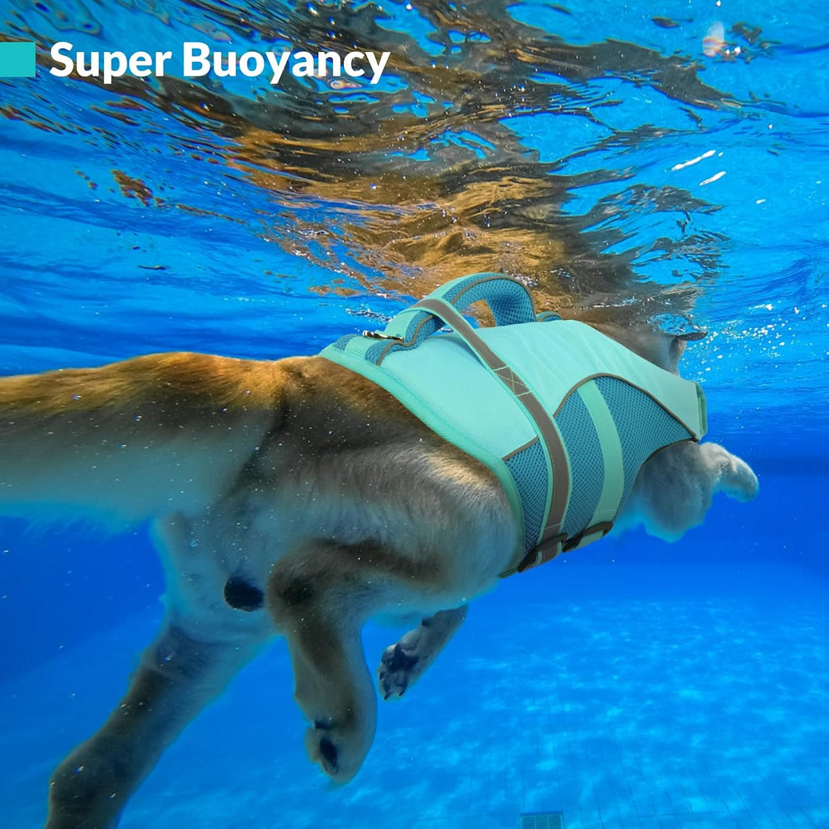Adjustable Ripstop Dog Life Vest for Swimming & Boating, Lifesaver with Superior Buoyancy & Rescue Handle, Green, M