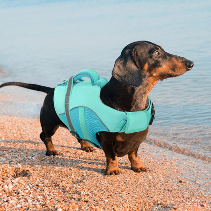 Adjustable Ripstop Dog Life Vest for Swimming & Boating, Lifesaver with Superior Buoyancy & Rescue Handle, Green, M