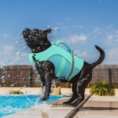 Adjustable Ripstop Dog Life Vest for Swimming & Boating, Lifesaver with Superior Buoyancy & Rescue Handle, Green, M