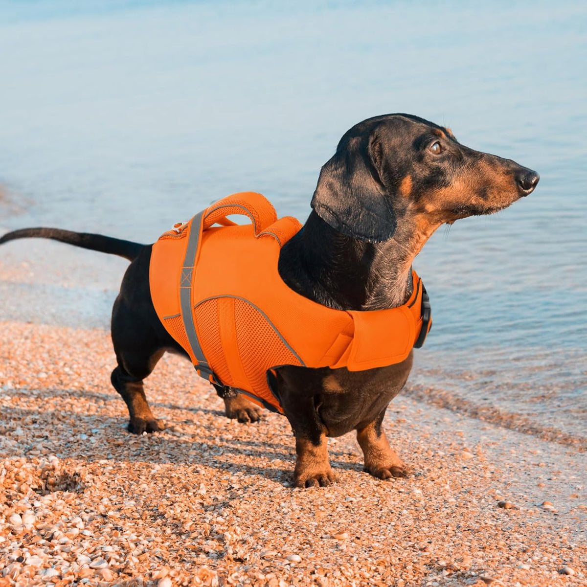 Adjustable Ripstop Dog Life Vest for Swimming & Boating, Lifesaver with Superior Buoyancy & Rescue Handle, Green, M