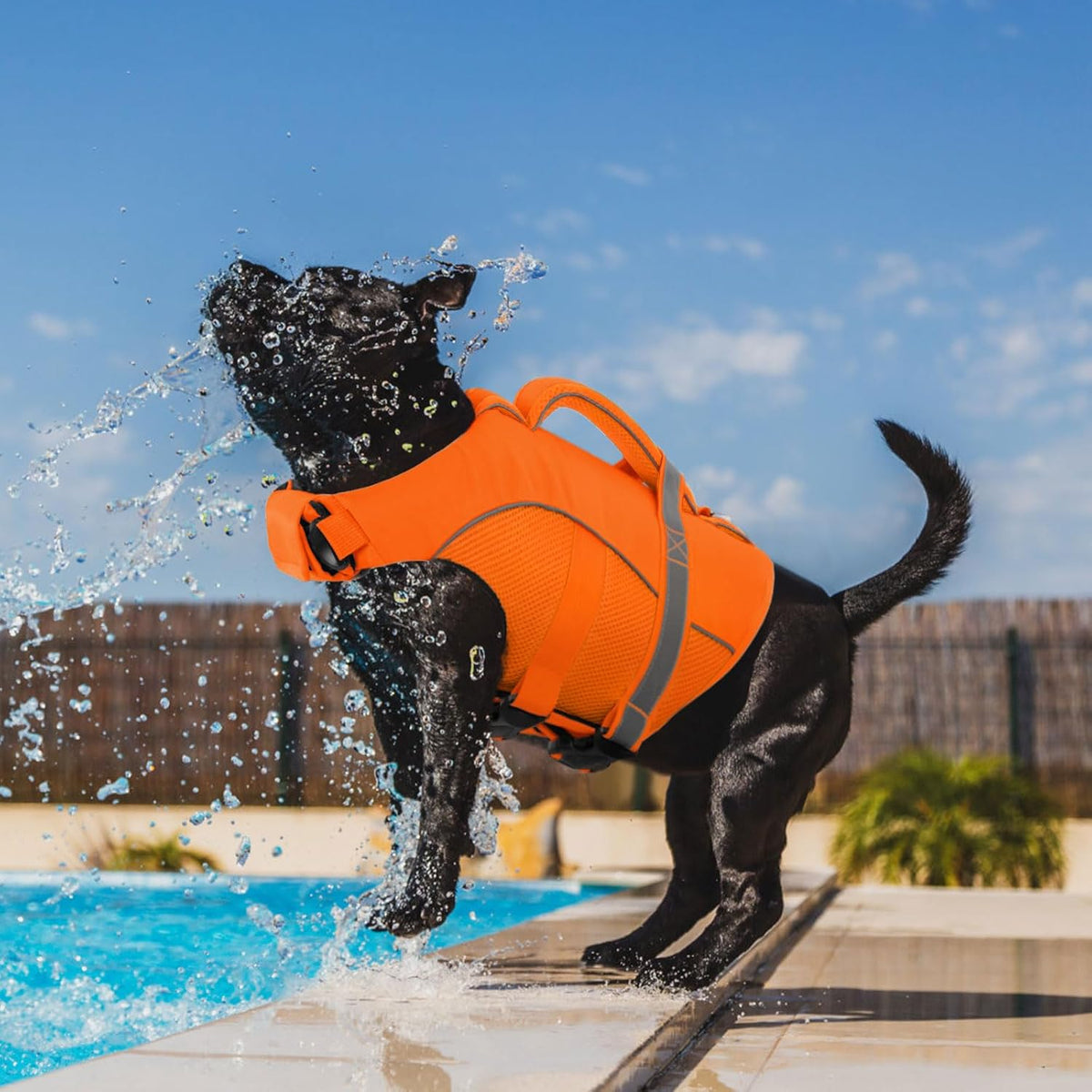Adjustable Ripstop Dog Life Vest for Swimming & Boating, Lifesaver with Superior Buoyancy & Rescue Handle, Green, M