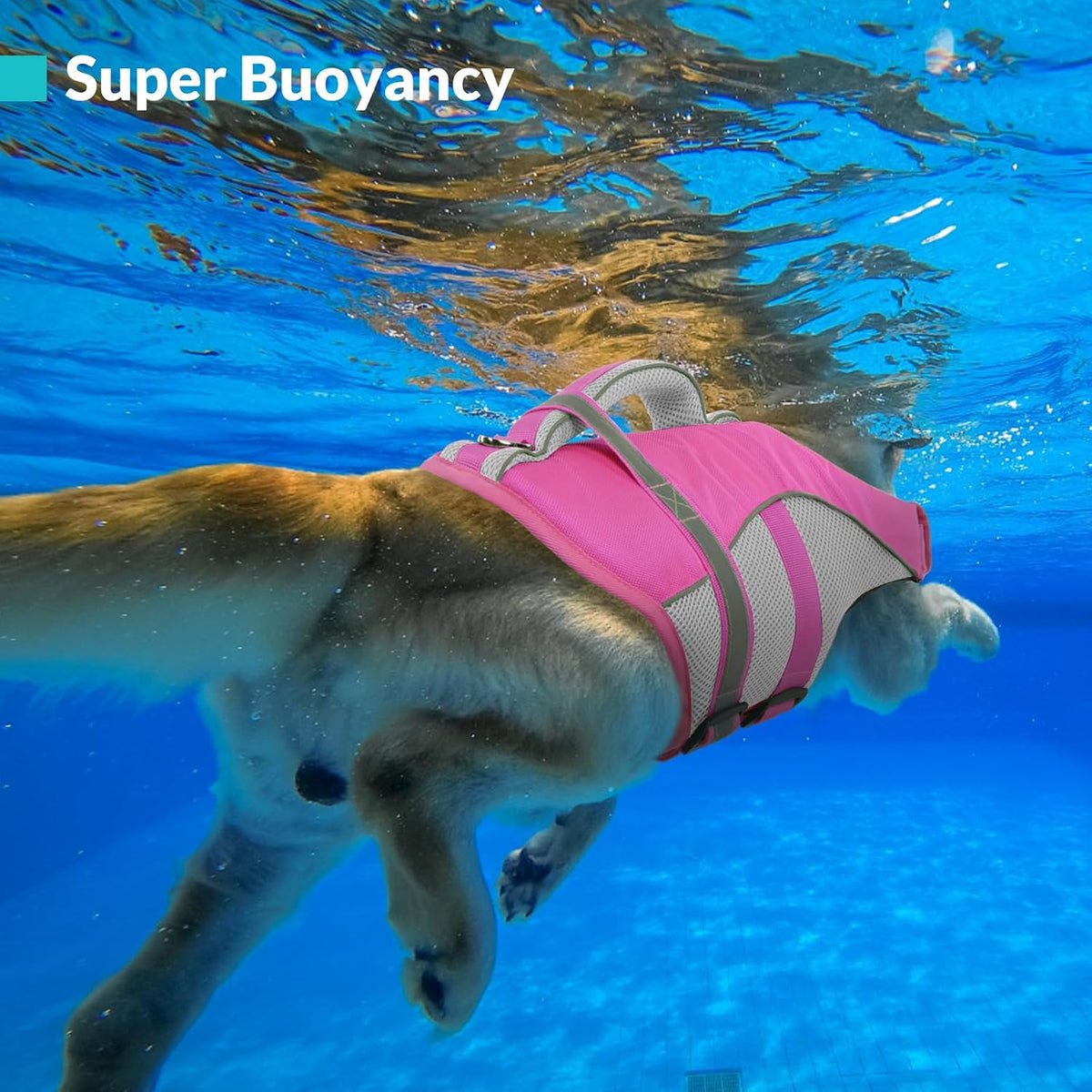 Adjustable Ripstop Dog Life Vest for Swimming & Boating, Lifesaver with Superior Buoyancy & Rescue Handle, Green, M