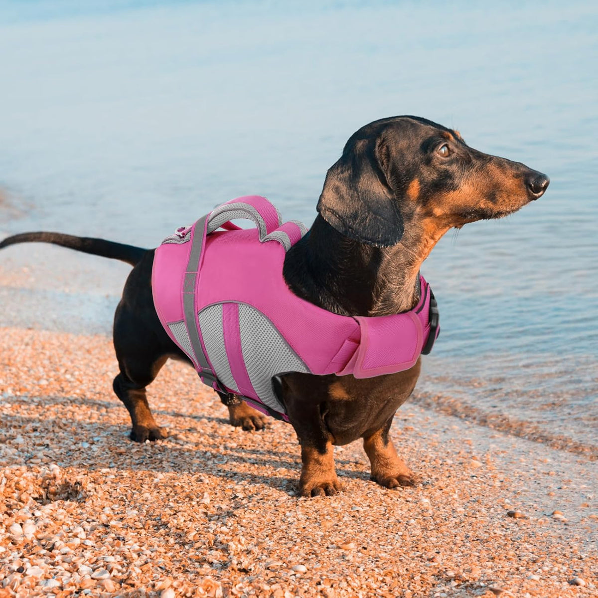 Adjustable Ripstop Dog Life Vest for Swimming & Boating, Lifesaver with Superior Buoyancy & Rescue Handle, Green, M