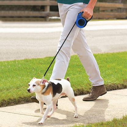 Retractable Dog Leash 10ft, Tangle-Free Expandable Leash for Small Dogs Up to 22lbs, Easy-Adjust Lock & Anti-Slip Handle for Safe Walks