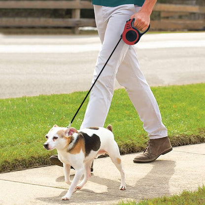 Retractable Dog Leash 10ft, Tangle-Free Expandable Leash for Small Dogs Up to 22lbs, Easy-Adjust Lock & Anti-Slip Handle for Safe Walks