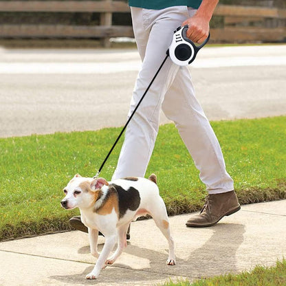 Retractable Dog Leash 10ft, Tangle-Free Expandable Leash for Small Dogs Up to 22lbs, Easy-Adjust Lock & Anti-Slip Handle for Safe Walks