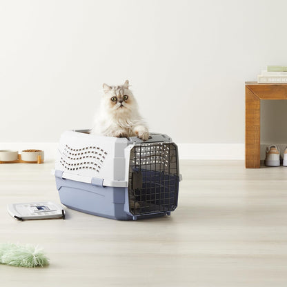 2-Door Top-Load Hard-Sided Pet Travel Carrier for Cats and Small Dogs, 19" L x 12.6" W x 10" H, Gray & Blue