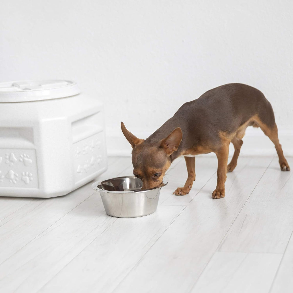 Vittles Vault Airtight Pet Food Storage Container + Scoop, Fits Up to 50lbs