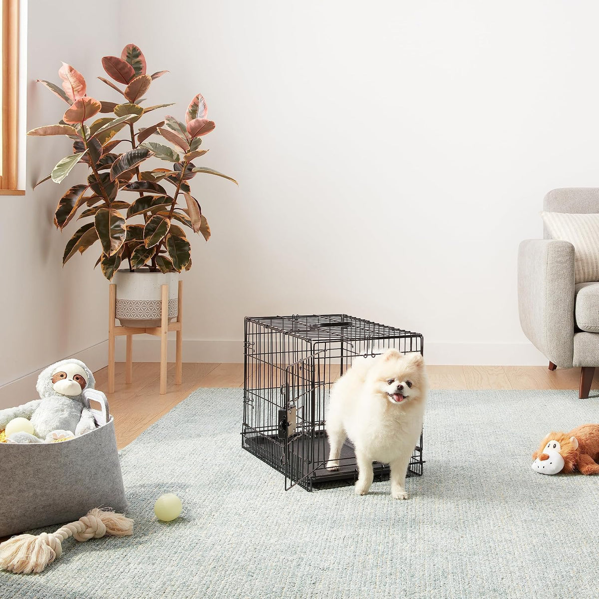 Portable, Foldable Metal Wire Dog Crate with Removable Tray, Single Door, Divider Panel, Collapsible for Travel, 22 x 13 x 16 in, Black