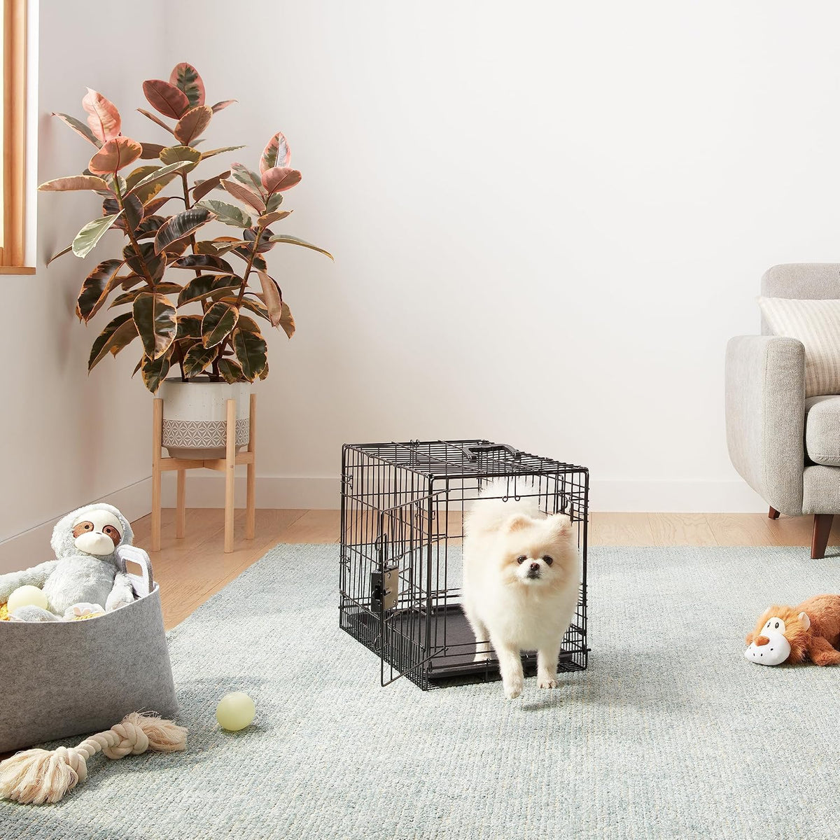 Portable, Foldable Metal Wire Dog Crate with Removable Tray, Single Door, Divider Panel, Collapsible for Travel, 22 x 13 x 16 in, Black