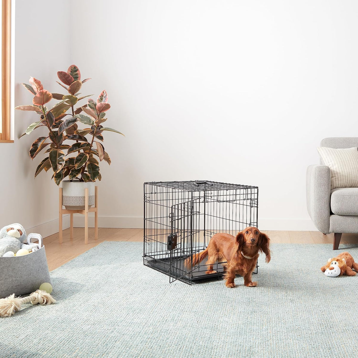 Portable, Foldable Metal Wire Dog Crate with Removable Tray, Single Door, Divider Panel, Collapsible for Travel, 22 x 13 x 16 in, Black