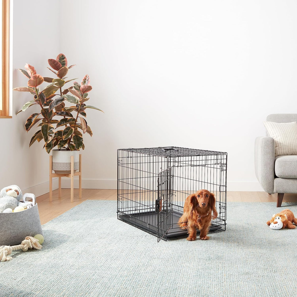 Portable, Foldable Metal Wire Dog Crate with Removable Tray, Single Door, Divider Panel, Collapsible for Travel, 22 x 13 x 16 in, Black