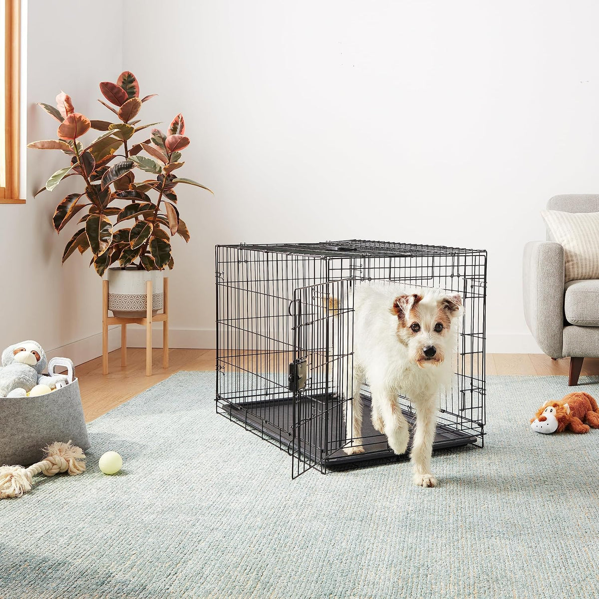 Portable, Foldable Metal Wire Dog Crate with Removable Tray, Single Door, Divider Panel, Collapsible for Travel, 22 x 13 x 16 in, Black