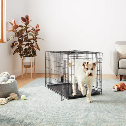 Portable, Foldable Metal Wire Dog Crate with Removable Tray, Single Door, Divider Panel, Collapsible for Travel, 22 x 13 x 16 in, Black