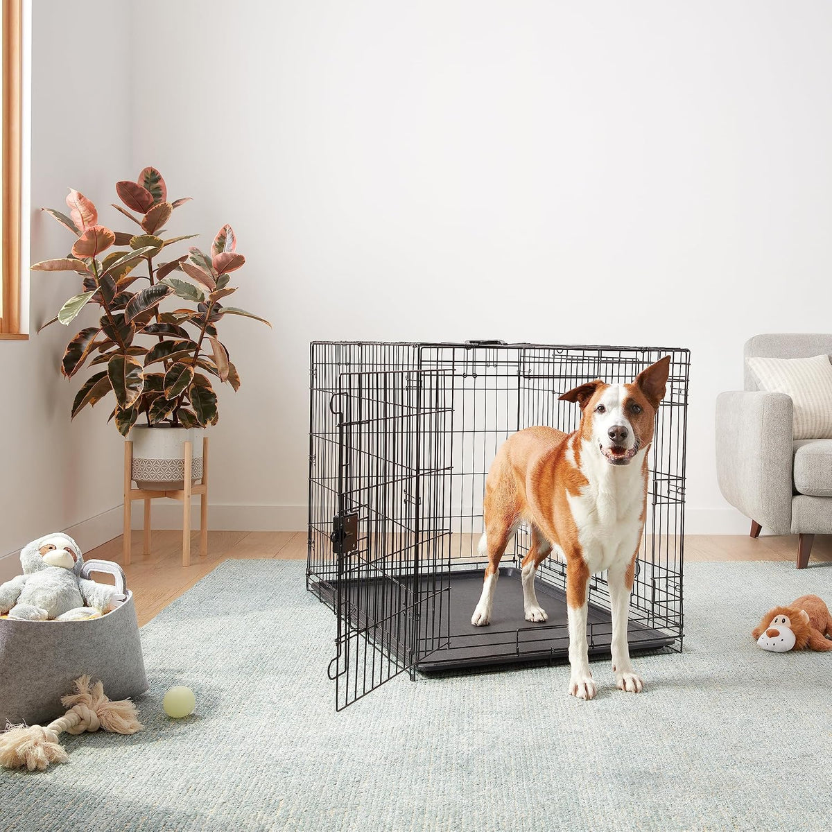 Portable, Foldable Metal Wire Dog Crate with Removable Tray, Single Door, Divider Panel, Collapsible for Travel, 22 x 13 x 16 in, Black