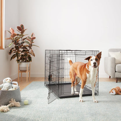 Portable, Foldable Metal Wire Dog Crate with Removable Tray, Single Door, Divider Panel, Collapsible for Travel, 22 x 13 x 16 in, Black