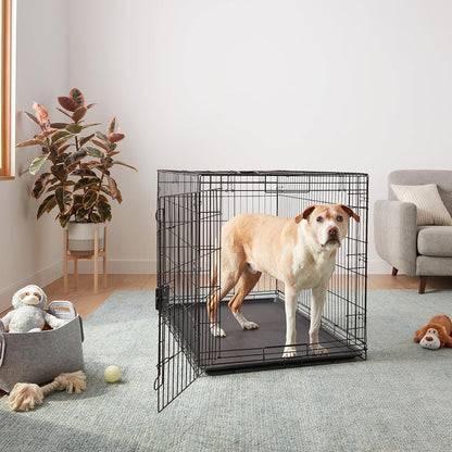 Portable, Foldable Metal Wire Dog Crate with Removable Tray, Single Door, Divider Panel, Collapsible for Travel, 22 x 13 x 16 in, Black