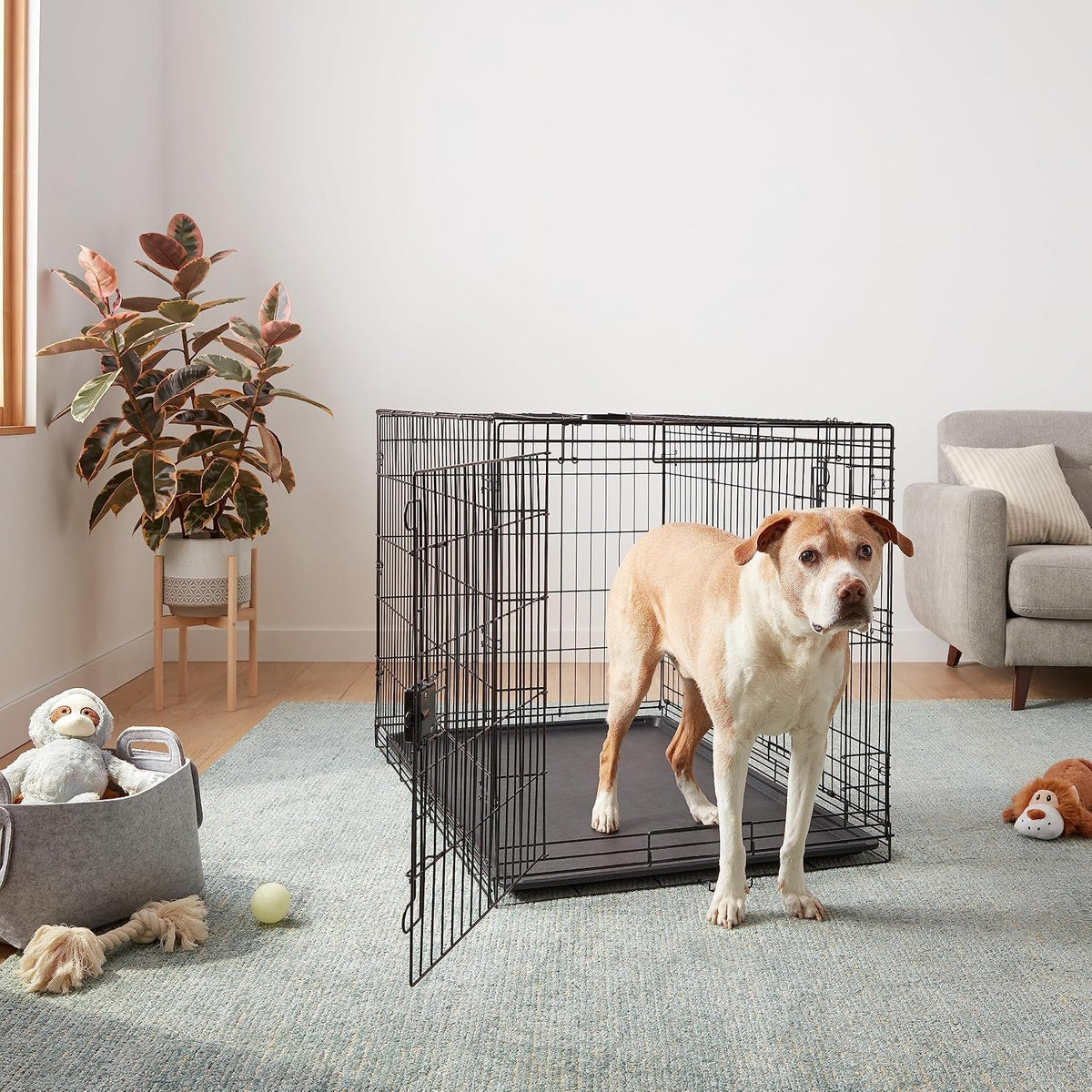 Portable, Foldable Metal Wire Dog Crate with Removable Tray, Single Door, Divider Panel, Collapsible for Travel, 22 x 13 x 16 in, Black